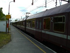 train 01.jpg